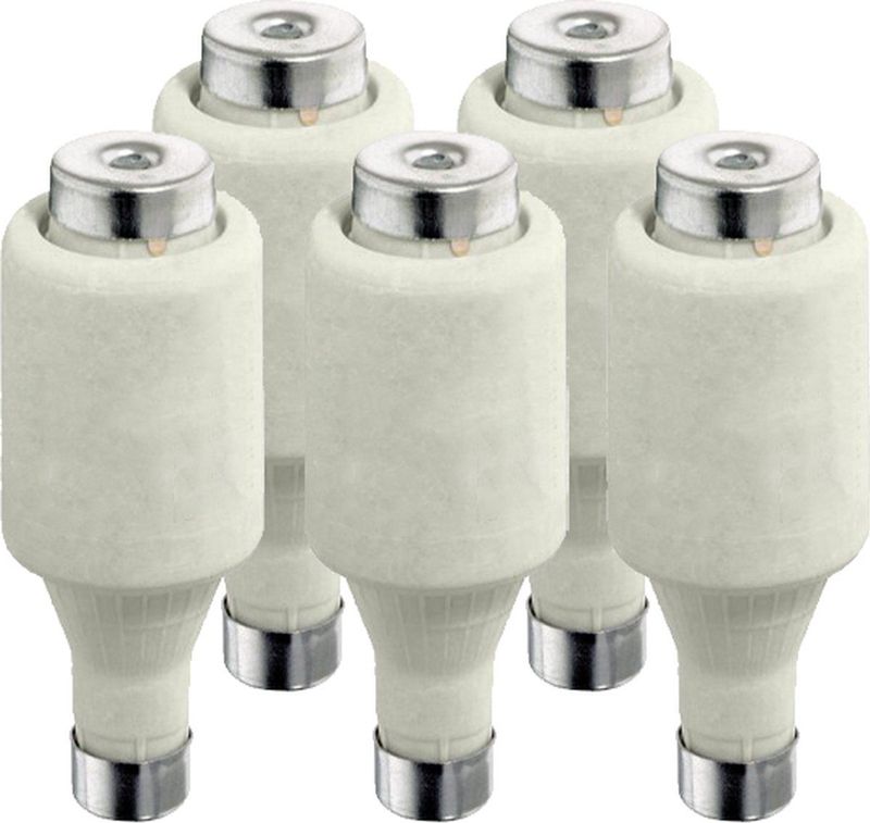 Zekering Meterkast - Stoppenkast - DII-Patronen 25A 500V - Snel - DZ/gF Flink - 1×5 stuks