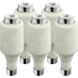 Meterkast zekering DII - D-Patronen - 6A - Traag - 1×5 stuks