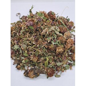 Rode klaver (Trifolium pratense)50g