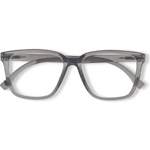 Ear2Ear 21710 Leesbril Newton - sterkte +1.50 - transparant grijs