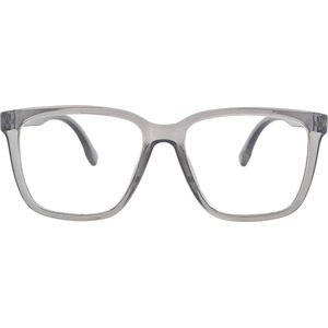 Ear2Ear 21710 Leesbril Newton - sterkte +2.50 - transparant grijs