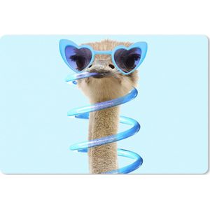 Muismat xxl - Mousepad xxl - Bureau accessoires - Muismat grappig - Struisvogel - Zonnebril - Blauw - Dieren - 90x60 cm