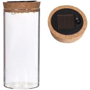 Ideas4seasons Pot/vaas van glas voor planten ecosysteem - deksel met LED verlichting - D8 x H16 cm