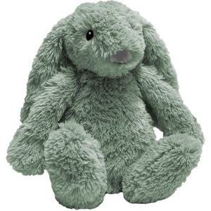 Zazu - Ro het Konijn - Knuffel met Nachtlampje - Groen - Inclusief Slaapliedjes
