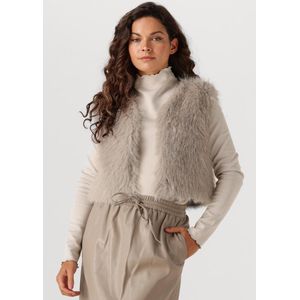 Aimée the Label - Isla - Gilet - Grijs - 100% Polyester