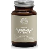 Mattisson - Astragalus - Voedingssupplement - 390 mg - Capsules