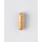 Maca - Zwart - Eetbaar Knolgewas - Adaptogeen