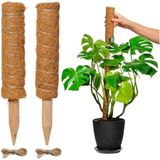 FEDEC Mosstok voor planten - Plantenstok - 30cm tot 50cm - 2 stuks