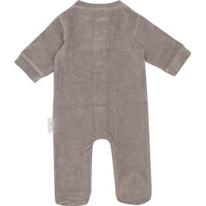 Witlof for kids - Boxpakje - Warm Grey - Velvet Rib