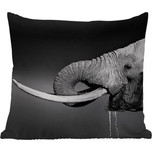 Tuinkussen - Olifant - Water - Dieren - Zwart - Wit - 40x40 cm - Weerbestendig