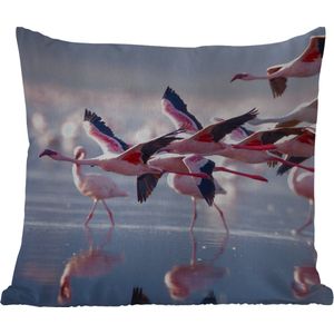Tuinkussen - Flamingo - Vogel - Water - Roze - 40x40 cm - Weerbestendig
