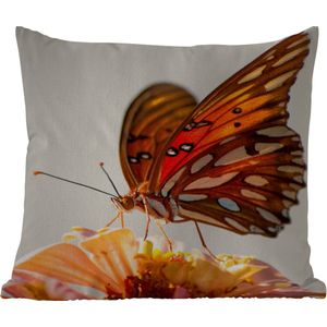Buitenkussen - Vlinder - Oranje - Bloem - Insecten - 45x45 cm - Weerbestendig
