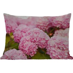 Buitenkussens - Tuin - Struik - Bloemen - Roze - Hortensia - 50x30 cm