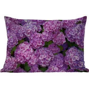 Buitenkussens - Tuin - Bloemen - Hortensia - Struik - Roze - Bloemblaadjes - 50x30 cm