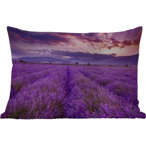 Buitenkussens - Tuin - Lavendel - Paars - Bloemen - Veld - 50x30 cm