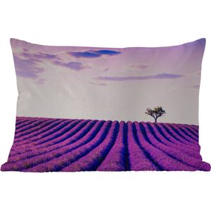 Buitenkussens - Tuin - Lavendel - Bomen - Paars - Bloemen - 50x30 cm