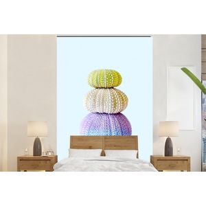 Kleuren - Natuur - Dieren - Zeedieren - Behangpapier