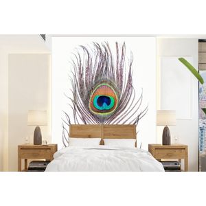 Pauwenveren - Blauw - Veer - Pauw - Dieren - Behangpapier