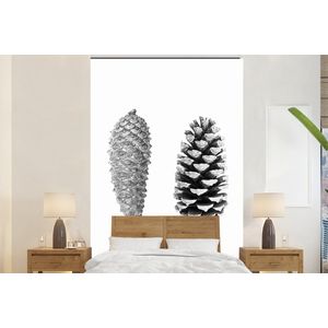 Dennenappels - Natuur - Zwart wit - Wit - Herfst - Behangpapier