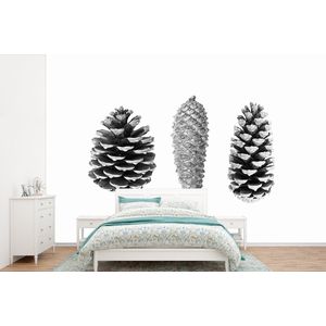 Dennenappels - Natuur - Zwart wit - Wit - Herfst - Behangpapier