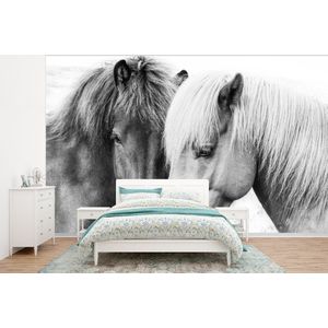 Paarden - Dieren - Zwart wit - Natuur - Behangpapier