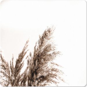 Muismat XXL - Bureau onderlegger - Bureau mat - Pampas pluimen - Natuur - Pampasgras - 50x50 cm - XXL muismat