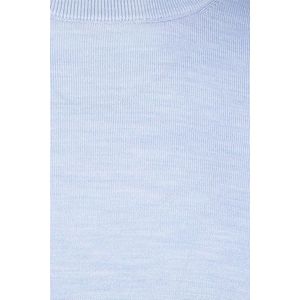 Born With Appetite - Trui - Lichtblauw - Merinowol