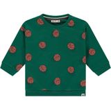 Babyface - Sweater - Groen - Regular Fit - Lange Mouwen
