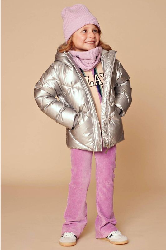 Stains&Stories - Gewatteerde Jas - Zilver - Winterjas