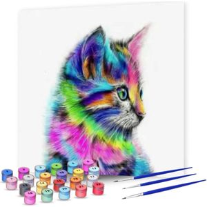 Rubye® Schilderen Op Nummer Volwassenen – Kleurrijke Kat – Inclusief Verf en Penselen – Canvas Schildersdoek – Kleuren op Nummer – 40x50cm