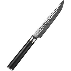 HEZHEN Steakmes van Damascus staal - Langdurige scherpte - mooie geschenkdoos - handvat van Ebbenhout - HEZHEN B1Z Series