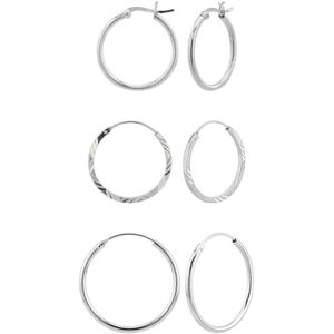 Set van zilveren oorringen, verschillende ringen