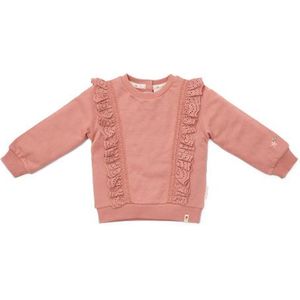 Little Dutch Trui Meisje - Maat 104 - Trui Volants - Kinderkleding Meisjes - Roze - Biologisch Katoen - Little Farm Warm Pink