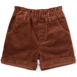 Little Dutch Baby Broekje Walnut Brown Winter