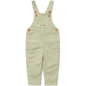 Little Dutch Broek Jongen - Maat 74 - Lange Tuinbroek - Kinderkleding Jongens - Groen - Katoen - Little Farm Green