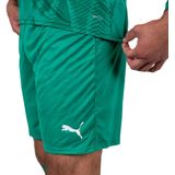 Puma - Team Ultimate - Keeperstenue - Groen - Polyester