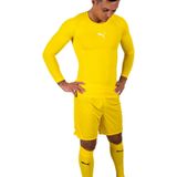 Puma - Team Ultimate Keeperstenue - Geel - Polyester - Compleet Tenue