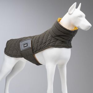 Lindo Dogs - Puffy Honden regenjas - Hondenjas - Hondenkleding - Regenjas voor honden - Waterproof/Waterdicht - Mango - Groen - Donkergroen - Geel - Maat 1