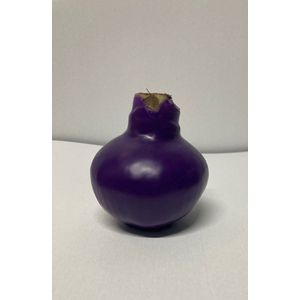 Wax amaryllis paars - wax bol