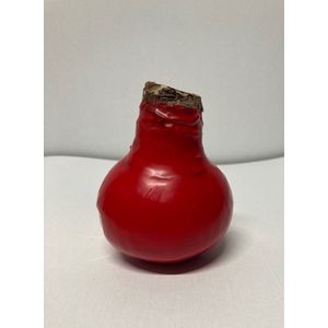 Wax amaryllis rood - wax bol