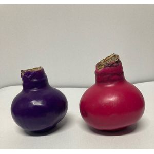Wax amaryllis duo paars/roze - wax bol