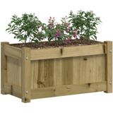 vidaXL Plantenbak 60x31x31 cm geïmpregneerd grenenhout