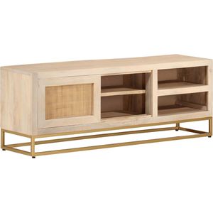 vidaXL TV-Schrank 110x30x40 cm Massivholz Mango und Eisen