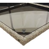vidaXL - 13-delige - Tuinset - met - kussens - poly - rattan - grijs