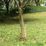 vidaXL-Jute-rol-200-g/m²-0,25x5-m-100%-jute