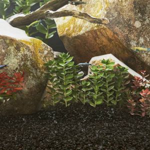 Vidaxl - Aquariensand 10 kg Schwarz 0,2-2 mm