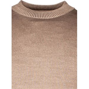 Thomas Maine - Turtleneck - Effen - Beige - 100% Wol
