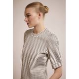 Tramontana - Fancy Striped Top - Ecru - Korte Mouwen