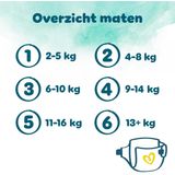 Pampers - Harmonie - Maat 5 - Maandbox - 140 stuks - 11/16 KG