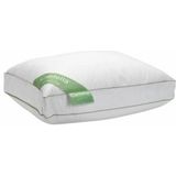 Hoofdkussen - Wit - Katoen